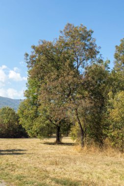 Bulgaristan 'ın Sofya kentindeki South Park' ın Muhteşem Sonbahar Manzarası