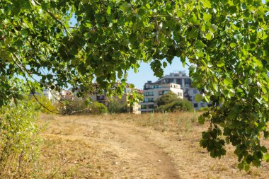 Bulgaristan 'ın Sofya kentindeki South Park' ın Muhteşem Sonbahar Manzarası