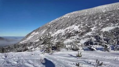 Bulgaristan 'ın Musala zirvesi yakınlarındaki Rila Dağı' nın şaşırtıcı kış manzarası