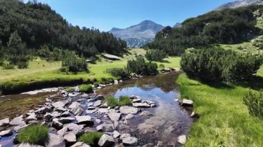 Bulgaristan 'ın Banderitsa bölgesindeki Pirin Dağı' nın şaşırtıcı yaz manzarası