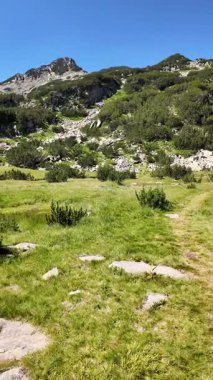 Bulgaristan 'ın Banderitsa bölgesindeki Pirin Dağı' nın şaşırtıcı yaz manzarası