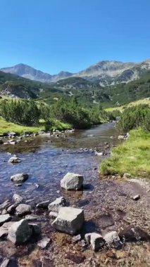 Bulgaristan 'ın Banderitsa bölgesindeki Pirin Dağı' nın şaşırtıcı yaz manzarası