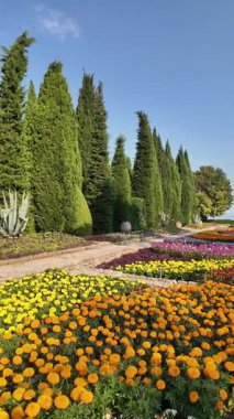 Bulgaristan 'ın Dobrich bölgesinin Balchik kentindeki Botanik Bahçesi' nin inanılmaz manzarası