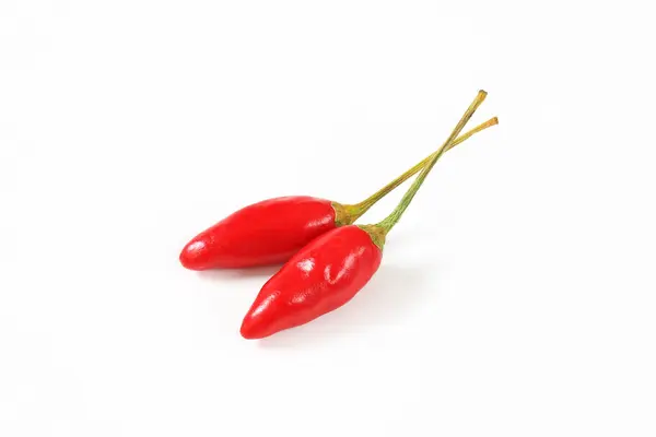 Δύο Μικρές Κόκκινες Πιπεριές Τσίλι Λευκό Φόντο Εικόνα Αρχείου