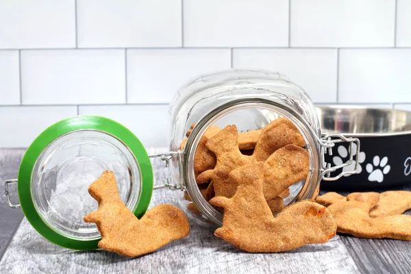 Biscoitos Para Cães Forma Esquilo Frente Jarra Biscoito Vidro Tigela — Fotografia de Stock