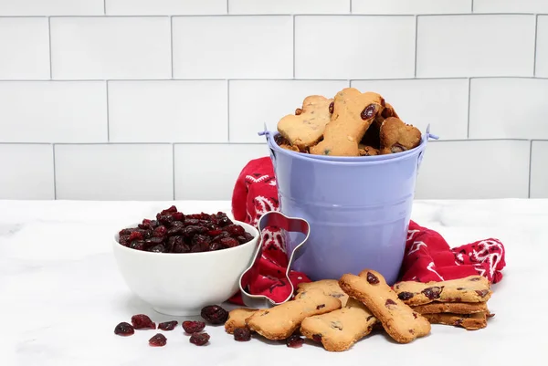 Pail Cranberry Dog Cookies Surrounded Cranberries Bowl Cookies Stock Photo