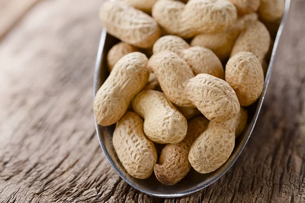 Ungeschälte Erdnüsse Oder Erdnüsse Lat Arachis Hypogaea Hülsen Metallschaufel Auf lizenzfreie Stockbilder