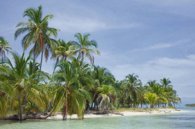 San Blas 'ta (Kuna veya Guna Yala) hindistan cevizi palmiyeli kumsal grubu Panama' nın Karayipler kıyısı boyunca uzanır.