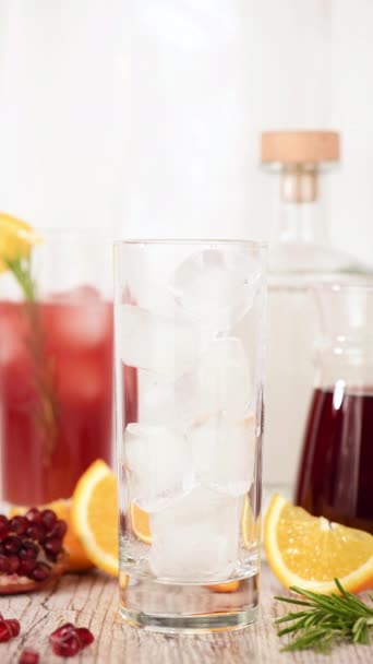 Pomegranate Paloma Classic Cocktail Made Freshly Squeezed Pomegranate Grapefruit Soda — Vídeo de stock