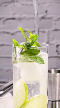 Naneli alkolsüz mojito kokteyli. Buzlu, limonlu, naneli ve tonik. Yakın plan. Gazoz kabarcıkları yavaşça yükselir. Bu bir dizi dikey videonun bir parçasıdır..