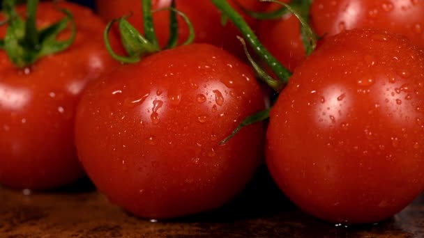 Des Éclaboussures Eau Tombent Sur Une Tomate Fraîche Mûre Rouge — Video