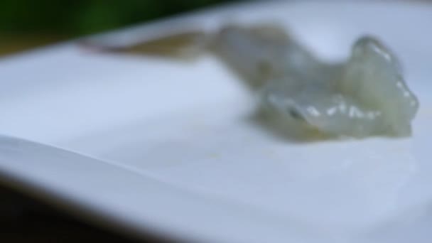 Помістіть Готові Очищені Нарізані Сирі Креветки Тарілці Епізод Серії Рецептів — стокове відео