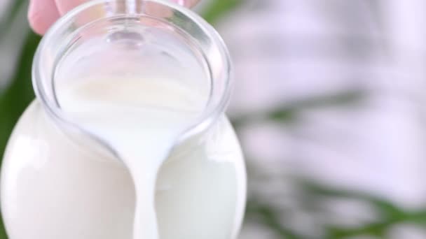 Fügen Sie Der Mischung Milch Hinzu Dünne Pfannkuchen Zuzubereiten Mit — Stockvideo