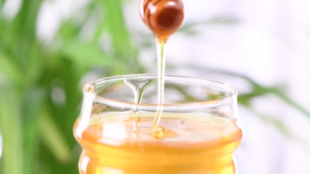 蜂蜜是添加到菜谱中的配料 而不是糖 一系列视频食谱中的一部分 特写镜头 — 图库视频影像