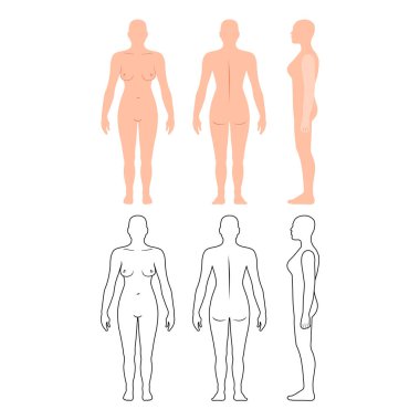 Önü, arkası, yan görünüşü bembeyaz arka planda soyutlanmış çıplak kadın silueti. Vektör illüstrasyonu