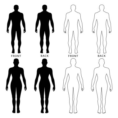 Önü, arkası, yan görünüşü bembeyaz arka planda soyutlanmış çıplak bir adam, kadın silueti. Vektör illüstrasyonu. 
