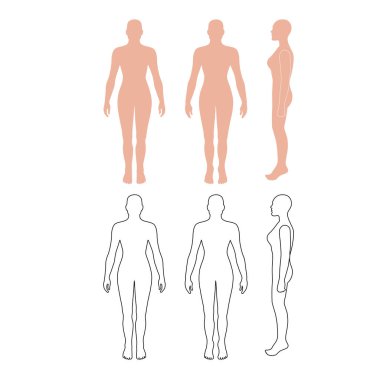 Önü, arkası, yan görünüşü bembeyaz arka planda soyutlanmış çıplak kadın silueti. Vektör illüstrasyonu. 