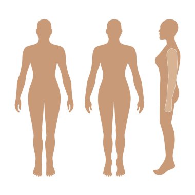 Önü, arkası, yan görünüşü bembeyaz arka planda soyutlanmış çıplak kadın silueti. Vektör illüstrasyonu
