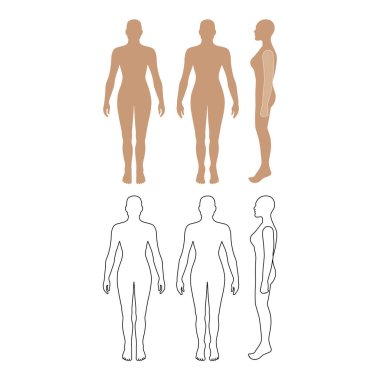 Önü, arkası, yan görünüşü bembeyaz arka planda soyutlanmış çıplak kadın silueti. Vektör illüstrasyonu