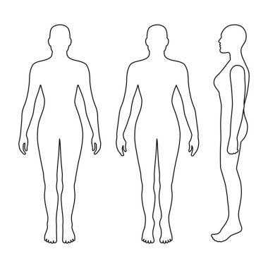 Önü, arkası, yan görünüşü bembeyaz arka planda soyutlanmış çıplak kadın silueti. Vektör illüstrasyonu