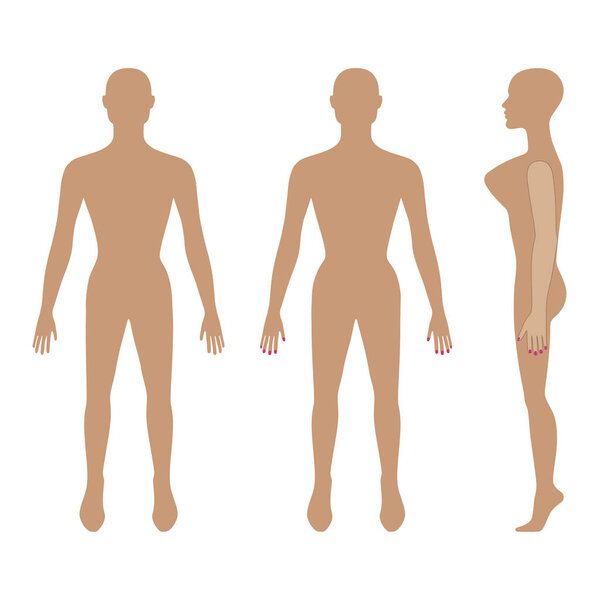 Full length front, back, side view of a lean bald standing naked woman silhouette, isolated on white background. Vector illustration. 