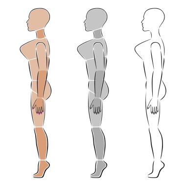 Moda kadını tam boy kel figür siluet yan görünüm, vektör illüstrasyonu beyaz arkaplanda izole edilmiş