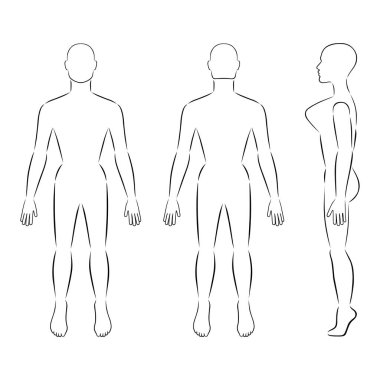 Önü, arkası, yan görünüşü bembeyaz arka planda soyutlanmış çıplak kadın silueti. Vektör illüstrasyonu. 