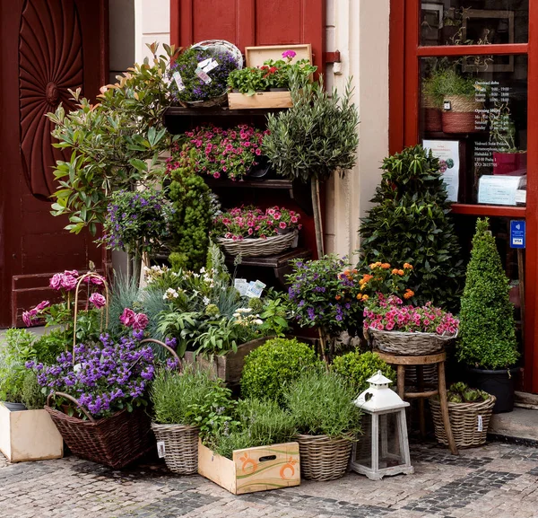 プラハ チェコ 2022年5月 プラハの外で販売するための屋外ショーケースを備えた花の店 装飾的な花の品揃えの花屋 四季折々の花や植物が並ぶ小さな街屋 — ストック写真