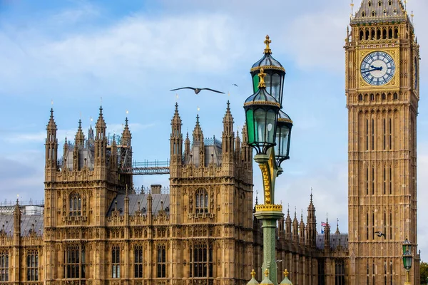 Uccello Che Vola Davanti Palazzo Westminster Big Ben Londra Inghilterra — Foto Stock