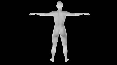 Siyah üzerine izole edilmiş güzel atletik genç bir kadın. Temel ağ, yapay zeka, robot. 3 boyutlu illüstrasyon, görüntüleme. Arkadan görüntülendi