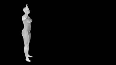 Siyah üzerine izole edilmiş güzel atletik genç bir kadın. Temel ağ, yapay zeka, robot. 3 boyutlu illüstrasyon, görüntüleme. Yan görünüm