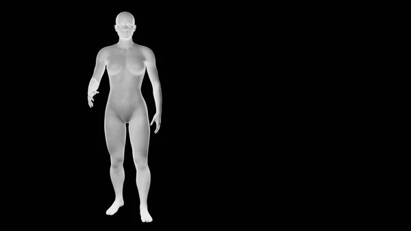 漂亮的年轻女运动员孤身一人站在黑暗中 基本网格人工智能机器人3D插图 — 图库照片