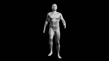 Güzel metalik gümüş adam poz veriyor, siyah arka planda izole edilmiş. 3d illüstrasyon (görüntüleme). Gümüş manken, android. Ön görünüm