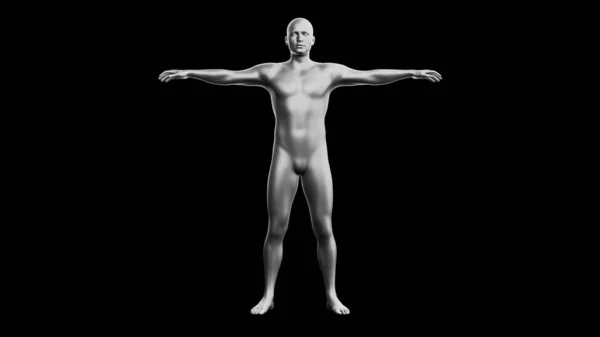 漂亮的年轻金属银人摆姿势 隔离在黑色背景 3D说明 银色的人体模型 机器人 前沿观点 — 图库照片
