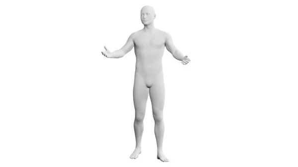 漂亮的运动青年男子的姿势 孤立在白色的背景 3D说明 人工智能 机器人 人体模型 前沿观点 — 图库照片#