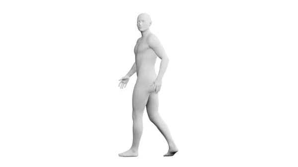 漂亮的运动青年男子的姿势 孤立在白色的背景 3D说明 人工智能 机器人 人体模型 侧视图 — 图库照片#