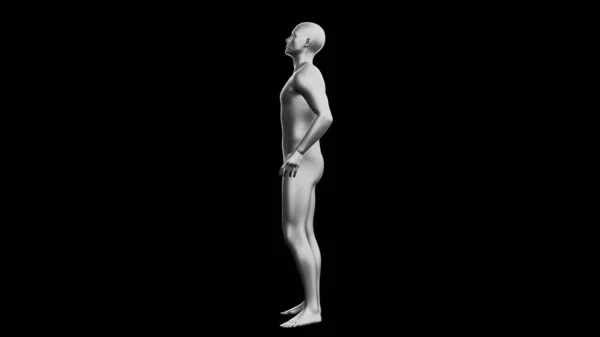 漂亮的年轻金属银人摆姿势 隔离在黑色背景 3D说明 银色的人体模型 机器人 侧视图 — 图库照片