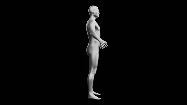 美しい若い金属銀の男 黒の背景に孤立ポーズ 3Dイラスト レンダリング 銀のマネキンアンドロイド サイドビュー — ストック写真