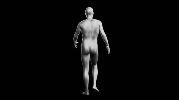 漂亮的年轻金属银人摆姿势 隔离在黑色背景 3D说明 银色的人体模型 机器人 背景色 — 图库照片
