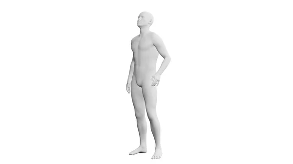 白い背景に隔離された美しい陸上競技の若者のポーズ 3Dイラスト レンダリング 人工知能 アンドロイド マネキン サイドビュー — ストック写真