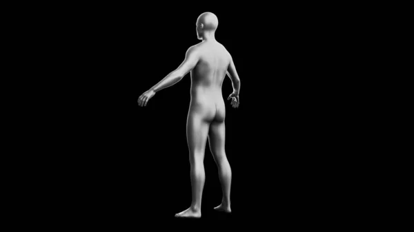 美しい若い金属銀の男 黒の背景に孤立ポーズ 3Dイラスト レンダリング 銀のマネキンアンドロイド バックビュー — ストック写真