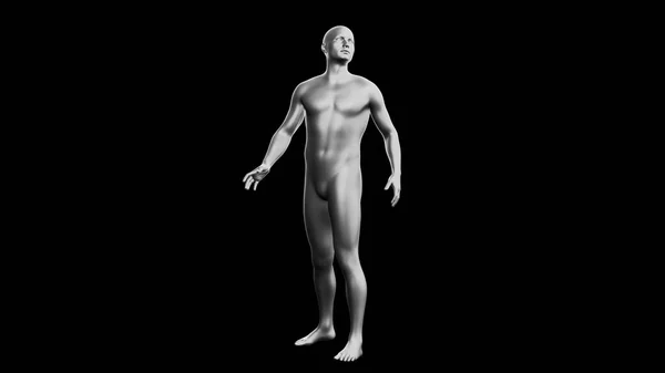 漂亮的年轻金属银人摆姿势 隔离在黑色背景 3D说明 银色的人体模型 机器人 侧视图 — 图库照片#