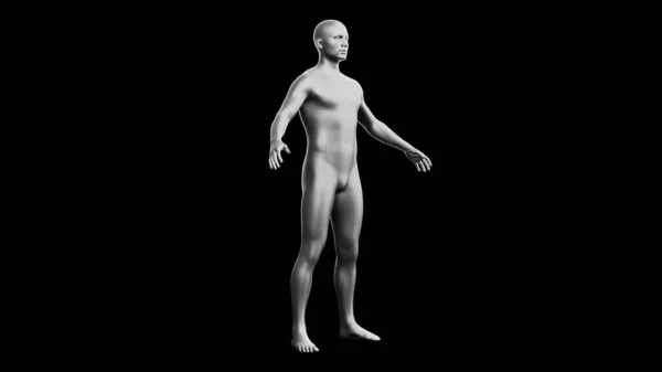 漂亮的年轻金属银人摆姿势 隔离在黑色背景 3D说明 银色的人体模型 机器人 侧视图 — 图库照片#