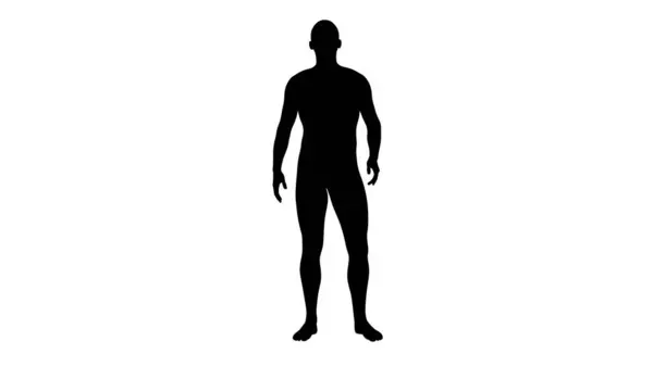 Silhouette Eines Schönen Jungen Athletischen Mannes Stehend Isoliert Auf Transparentem — Stockfoto