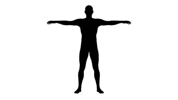一个年轻美丽的运动员站在一个透明的背景下 手臂向上的轮廓 3D说明 — 图库照片