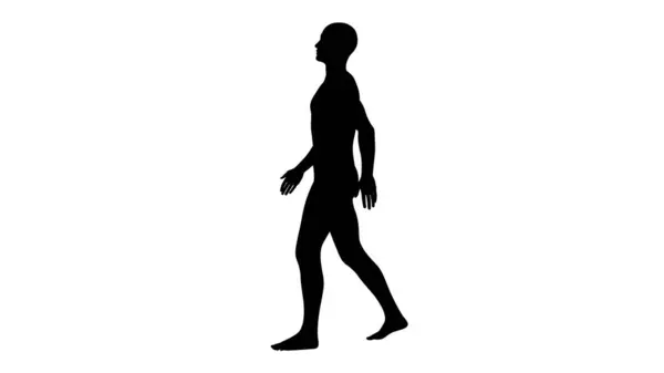Silhouette Beautiful Young Athletic Man Walking Isolated Transparent Background Illustration — Stock Photo, Image