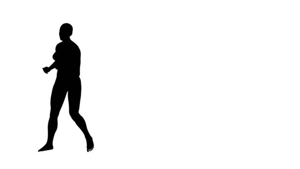 Eine Athletische Junge Frau Läuft Oder Joggt Kreis Schwarze Silhouette — Stockvideo