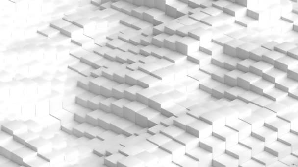Modelo Geométrico Blanco Abstracto Plantilla Fondo Vídeo — Vídeos de Stock