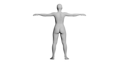 T-Poz 'daki Beyaz Kadın Mankeni Beyaz Arkaplanda İzole Edildi. Geriye bak. 3B görüntüleme