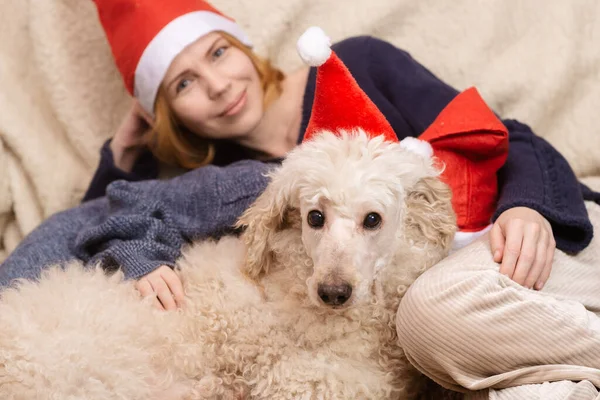 Mom, son and dog in New Year\'s hats are smiling during the Christmas holidays. Happy family having fun.